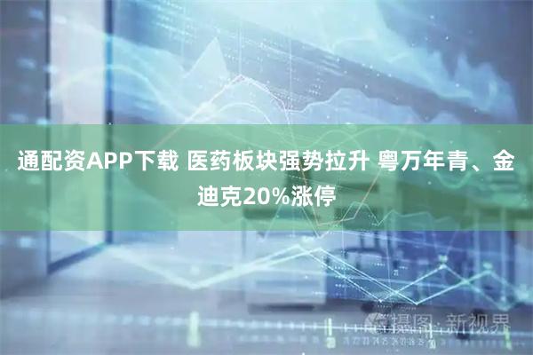 通配资APP下载 医药板块强势拉升 粤万年青、金迪克20%涨停